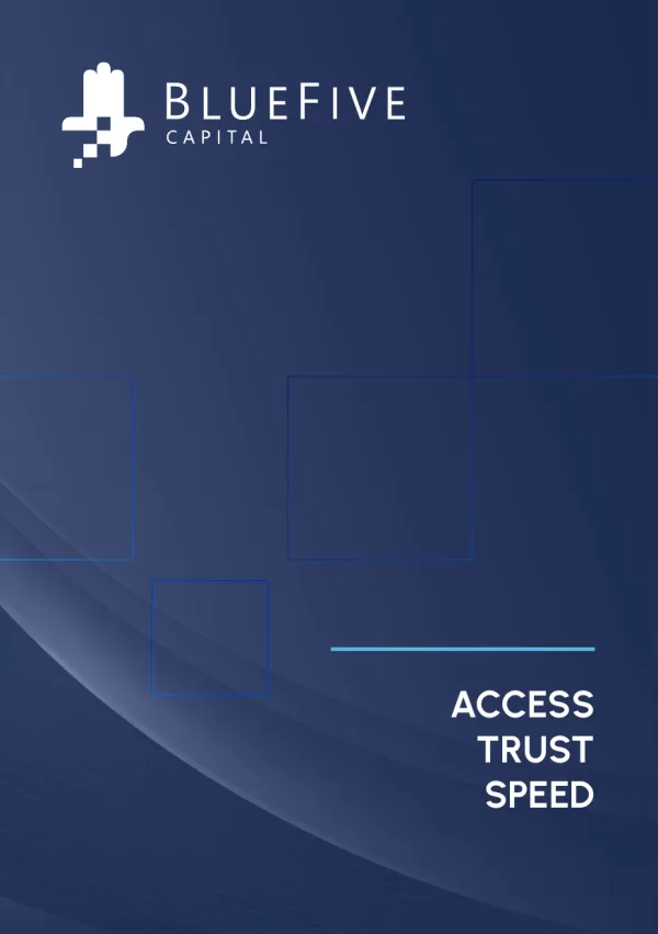 Cover of the BlueFive Capital corporate brochure